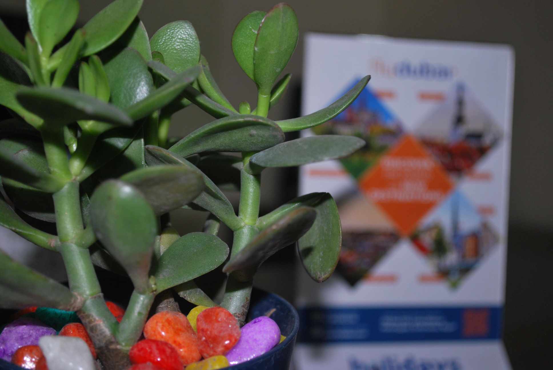 458702765_1502362417308818_6223378710552601996_n